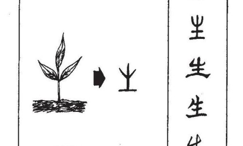 鸡蛋新吃法及做法大全集-鸡蛋新吃法网 - 为你提供鸡蛋新吃法控糖飞快、黄瓜鸡蛋新吃法