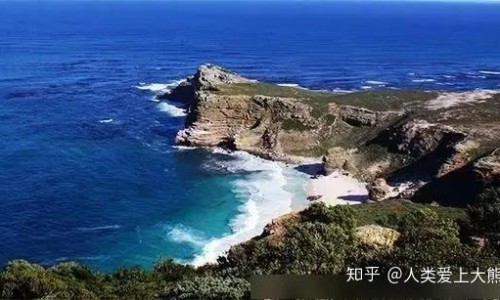 青木瓜的吃法禁忌　　