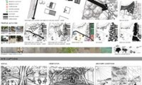 鸡蛋新吃法网 - 为你提供鸡蛋新吃法控糖飞快、黄瓜鸡蛋新吃法